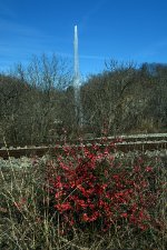 A picture of red bud in bloom, the CSX double track right-of-way and the Langley Fountain top off a nice afternoon on the riverfront in downtown Lynchburg.